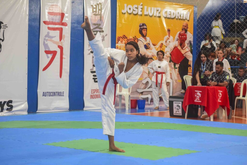 
Atleta realizando categoria Poomsae
